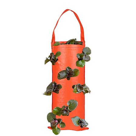 Jordbærdyrknings Tilbehør Jordbær Plantning Hængende Pose Stærkt Stof Blomsterhave Plantekasse Pose