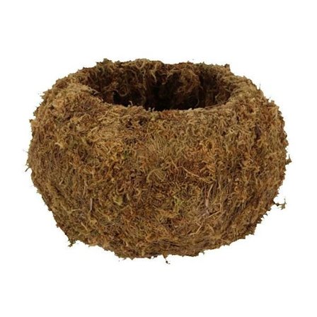 Sponge Ball Kokedama L - Brun - D 19,8 x H 12 cm