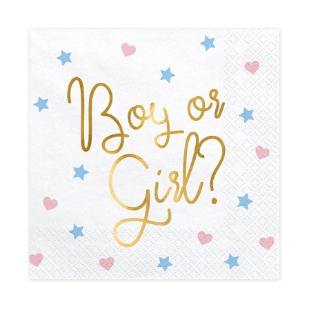 Boy Or Girl Servetit 20-pack