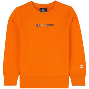 Kids - Champion Orange Branded Sweatshirt 9-10 Years - Jumpers and knitwear - 9-10 years - Orange