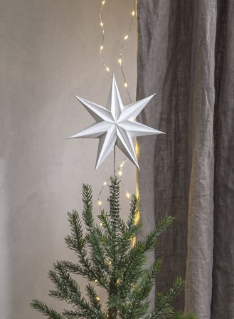 Isa toppstjerne - hvit