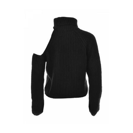 Pinko, Turtleneck Zwart, Dames, Maat:M,Polyamide