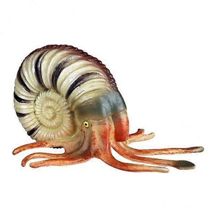 6x Realistiske Konkylie Figurer Konkylie Legetøj Akvarium Landskabspleje til Børn