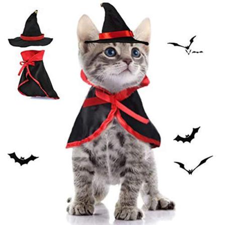Hund Katt Cosplay Kostym Hatt Häxkläder Halloween