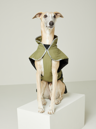 Jean Paul - Hundejakke - Herre - Grønn - Tilbehør - 25