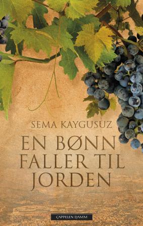 En bønn faller til jorden - Bok av Sema Kaygusuz - Hardback