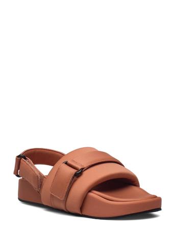 Gery Brown Mango
