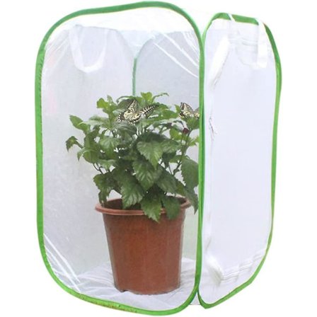 Sammenklappelig insekt habitat bur frøplante lys transmission net telt, sammenklappelig insekt mesh bur til larver sommerfugl have udendørs