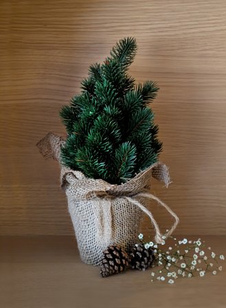 Grantre i potte H30 - grønn