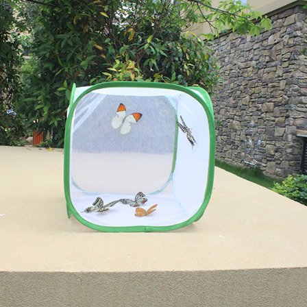 Bærbar Insektsommerfugl Habitatbur Insekt Hus Innhegning Oppdrettsbur