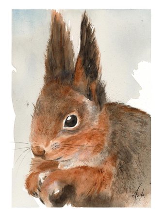 Nordic Wild Kunsttrykk Ekorn 30x40cm Akvarellpapir