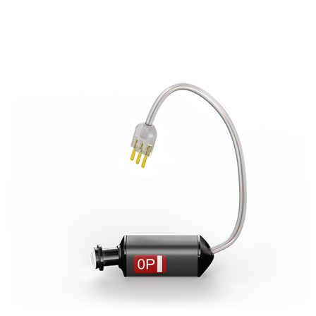 Phonak Receiver 5.0 P