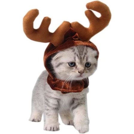 Julenisse-kostyme for katter og valper Katter Hunder Hatter Frisyrer