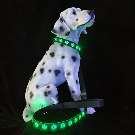 LED Colorful Pet Dog Glow Collar Walking Dog Traction Rope Single Footprint Glow Dog Ring USB Charging Neckband