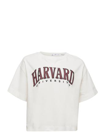 Harvard White Violeta By Mango