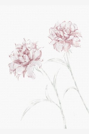 Pelcasa - Juliste Peony 03 - Beige - Julisteet - - Homeroom