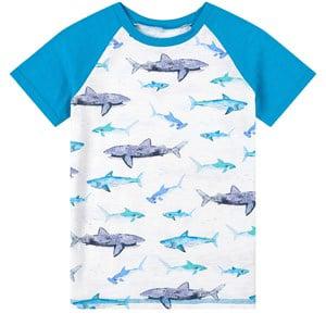 Hatley White Shark Graphic T-Shirt 6 Years - Tops - 6 years - White