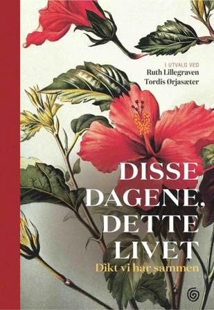 Disse dagene, dette livet - Bok - Hardback