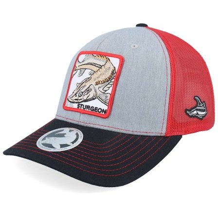 Skillfish - Grå trucker Kasket - Sturgeon Box 112 Tri Heather Grey/Red/Black Trucker @ Hatstore