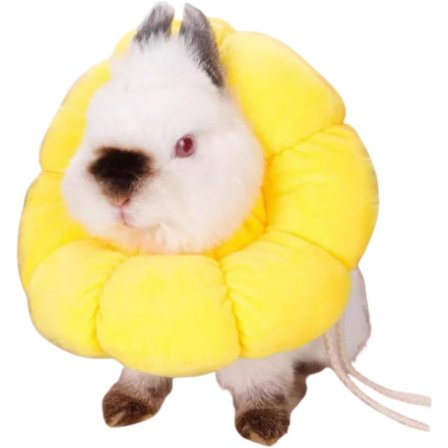 Myk Elizabethansk krage for kanin, chinchilla, marsvin, liten katt - Ekstra liten, myk