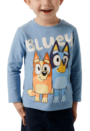 Name It NMMJONAS BLUEY LS NREG TOP BOX SKY Hoodies & sweatshirts Herr Blå 104