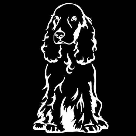 Cocker Spaniel Dog Car Body Window Sticker Pet Decal Styling Truck Decoration -HG