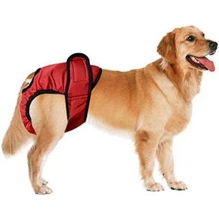 1 Pakke Hundeblødningsbleie Menstruasjonsbukser Vaskbare Damehund Hygieneshorts Underbukser Menstruasjonsbukser Truser (Rød) M(M)