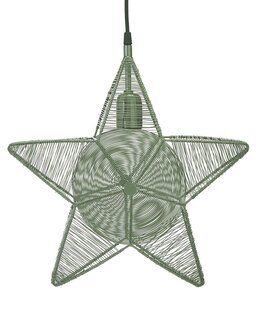 Rigel julestjerne Grønn