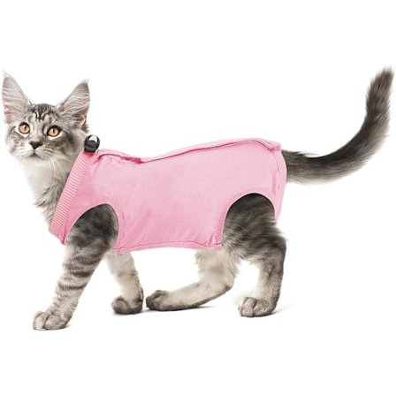 Professionell återhämtningsdräkt för katter för buksår eller hudsjukdomar, återhämtningsdräkt för kattungar efter operation, alternativ till E-krage