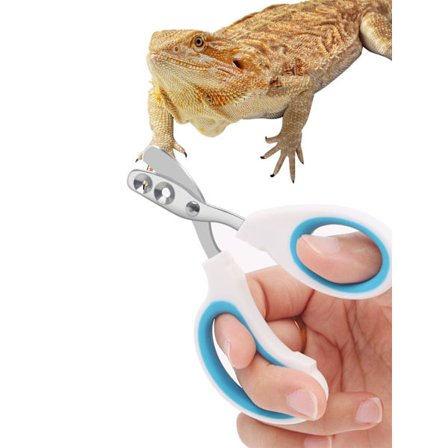 Negleklippere for skjeggagam i rustfritt stål, negleklippere for øgler, negleklippere for skjeggagam (egnet for små reptiler) (blå)