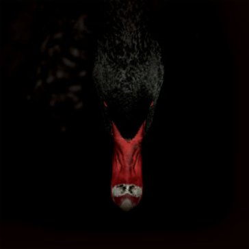 Mannerfreundschaften und metaphysik SANKT OTTEN + N