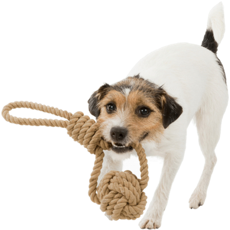 Trixie - BE NORDIC Leketau med innvevd ball Hvit Ø 7 cm Lengde 20 cm - Hund - Hundeleker & spill - Tyggeleker & tau - ZOO.no