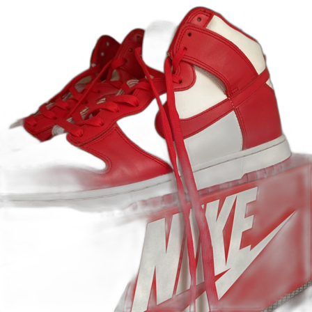 Nike dunk high