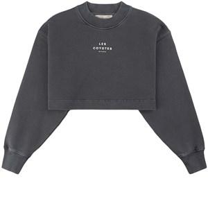 Kids - Les Coyotes De Paris Anthracite Grey Liz Sweatshirt 18 Years - Jumpers and knitwear - 18 years - Grey