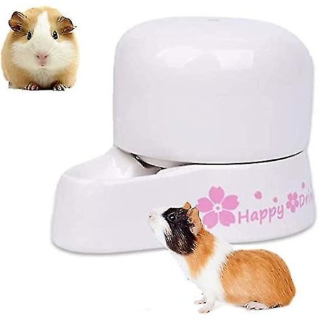 230ml Keramik Stille Lille Dyre Vandflaske Automatisk