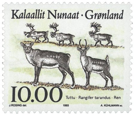 Grønland 1993 - AFA 243 - Postfrisk