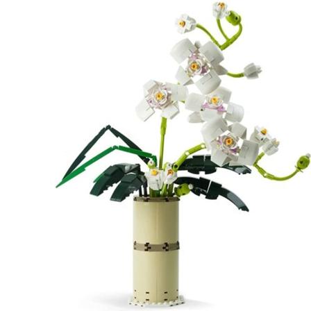 Kimppurakennuspalikat, ruukkukasvit Phalaenopsis-sarja, ruukkukasvit aikuisten kasvi
