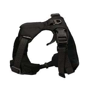 Dogman Y-sele Justerbar, Sport, Sort