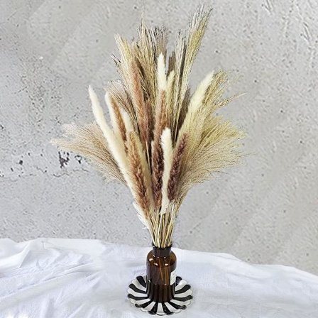 75 stk | 20 stk Hvite Pampas & 20 stk Brune Pampas & 35 stk Siv