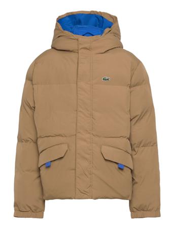 Parkas & Blouson Parkas Jakke Brun Lacoste
