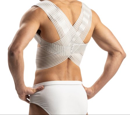 Pavis Raddrizzaspalle Cod. 576