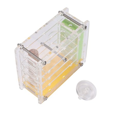 Ant World Explorer, Akrylmyrfarm med fuktighetsfunktion och glasrör för närbildsobservation av myror, har ett justerbart utlopp för enkel