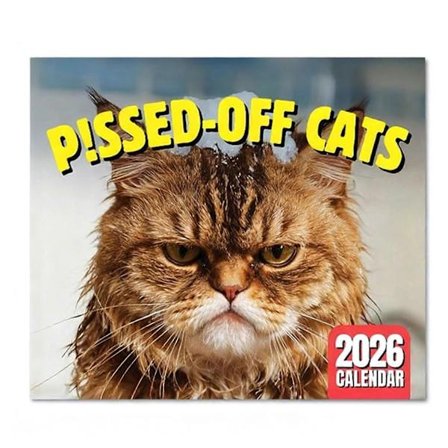 P!ssed-Off Cats Veggkalender 2026 Morsomme Katte-memes Hengende Kalender Nyhet for Hjem & Kontor Dekor