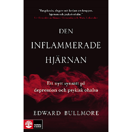 Den inflammerade hjärnan 9789127162105