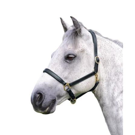 Blenheim Ragley Leather Horse Headcollar X Full Black