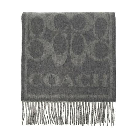 Coach, Winter Scarves Grijs, Dames, Maat:ONE Size