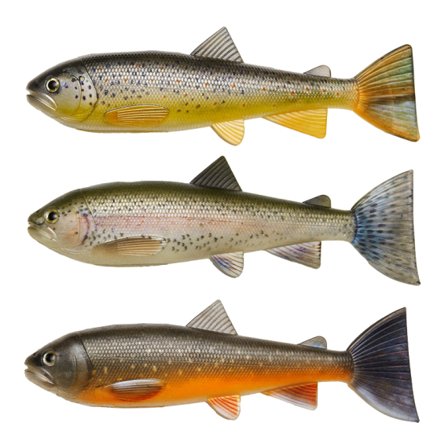 Pulz Bait Skinz Trout, 15cm 3pcs - Brown/Rainbow/Char