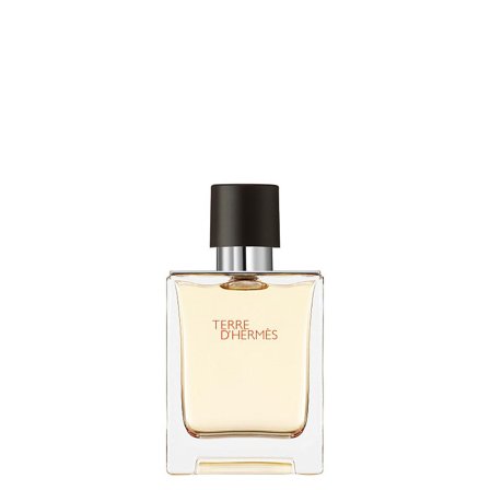 HERMÈS Terre d'Hermès Eau de Toilette 50 ml, Parfumer & Dufte, Herredufte, Terre D'hermès