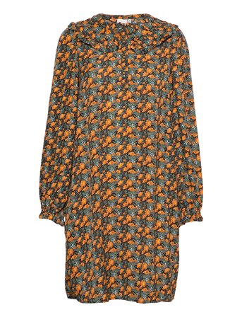 ICHI | Ixmoira Dr | 34