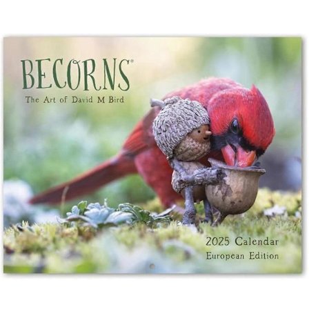 Årskalender med udsøgte detaljerede fugle, Becorns – Fuglekunstkalendere
